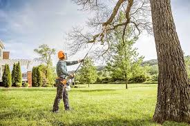 How Our Tree Care Process Works  in  Ocean City, FL