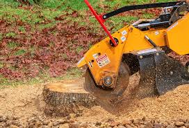 Best Leaf Removal  in Ocean City, FL